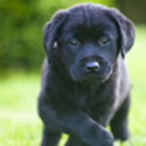 Meet your Posher, Bre